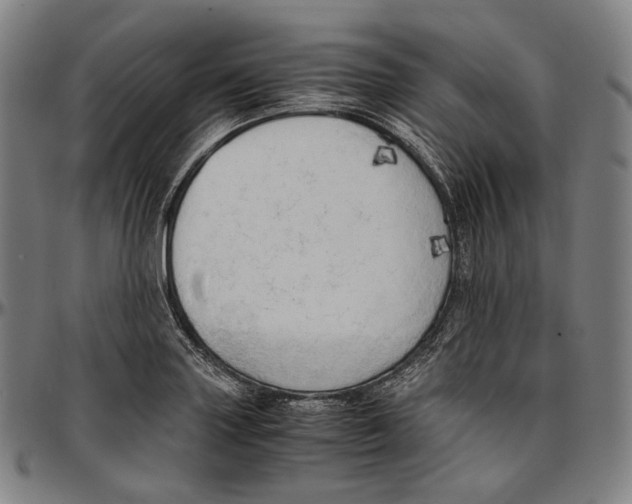 X0000096961227200802291113