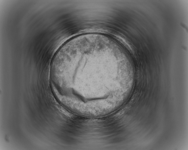 X0000096961228200802291113