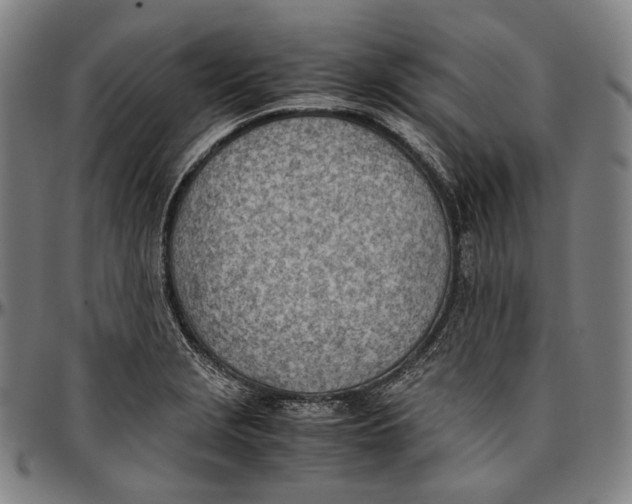 X0000096961229200802291113