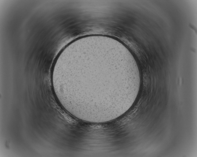 X0000096961230200802291113