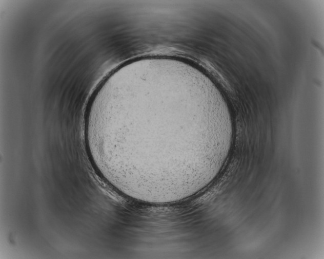 X0000096961232200802291113