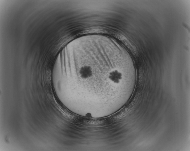 X0000096961233200802291113