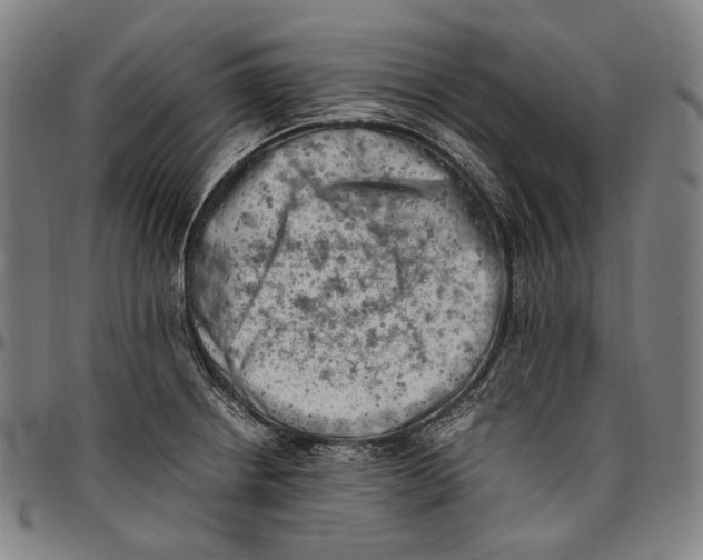 X0000096961234200802291113