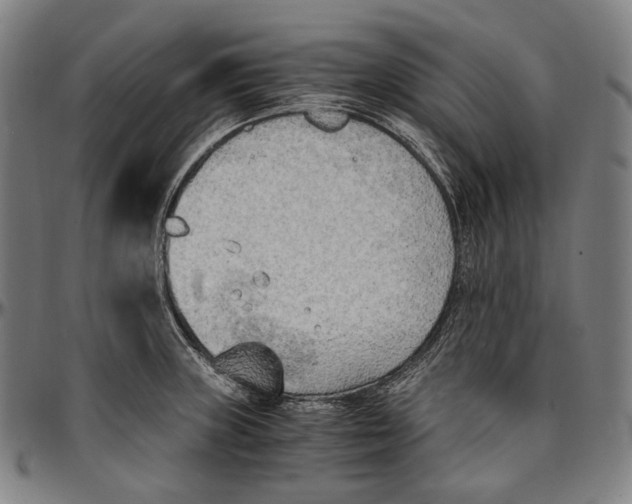 X0000096961235200802291113