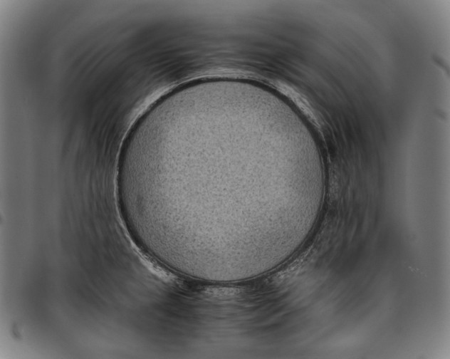 X0000096961237200802291113