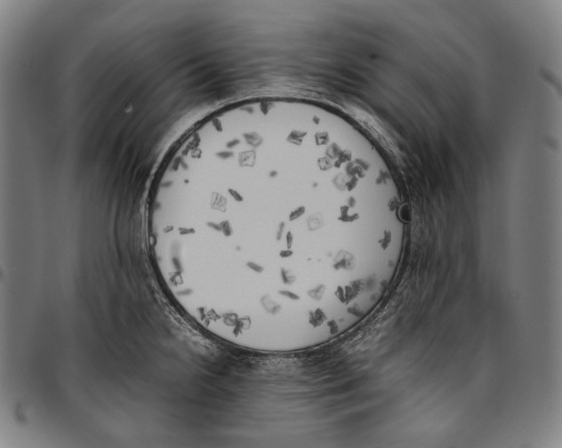 X0000096961238200802291113