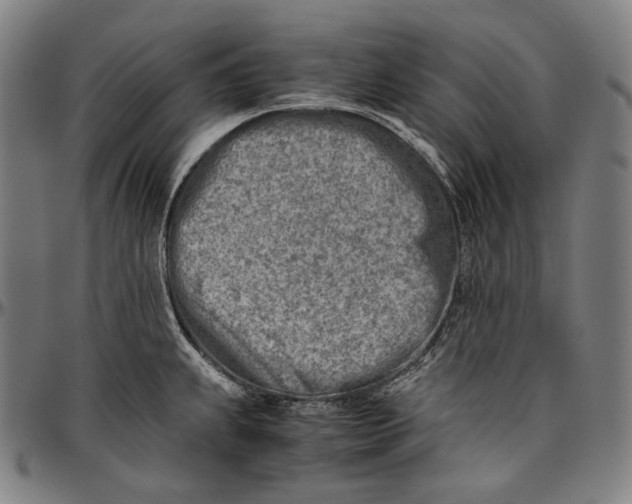 X0000096961239200802291113