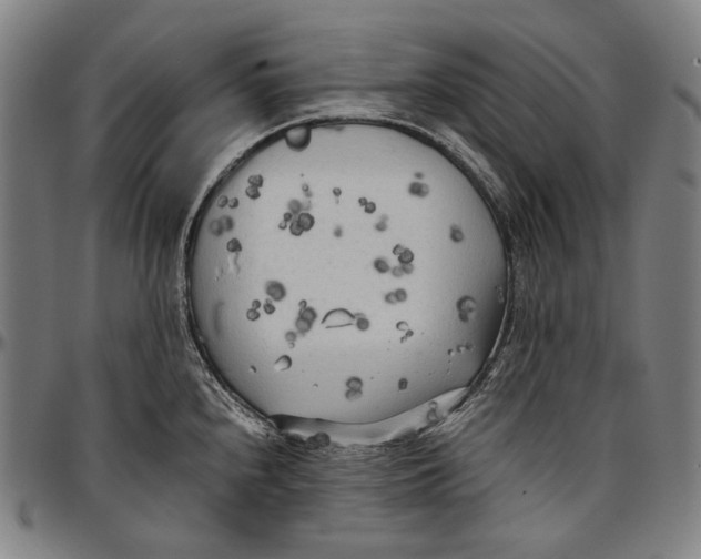 X0000096961240200802291113