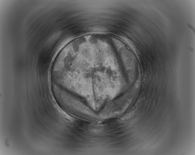 X0000096961243200802291113