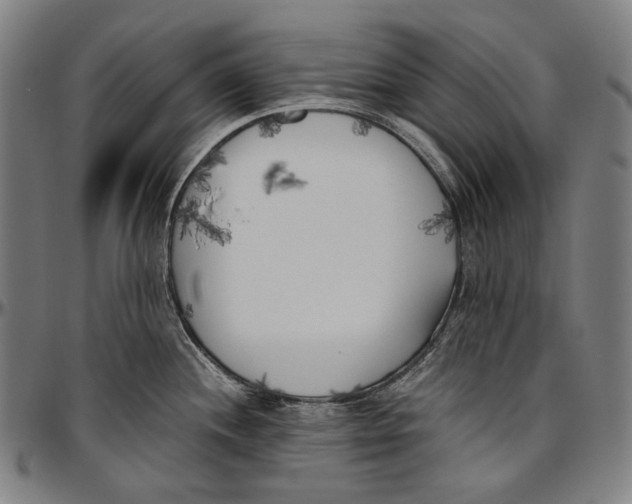 X0000096961244200802291113