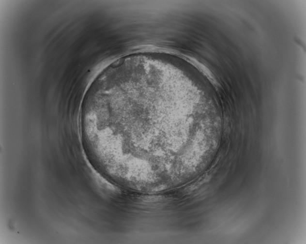 X0000096961247200802291113