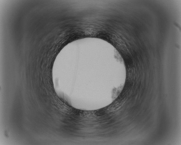 X0000096961249200802291113