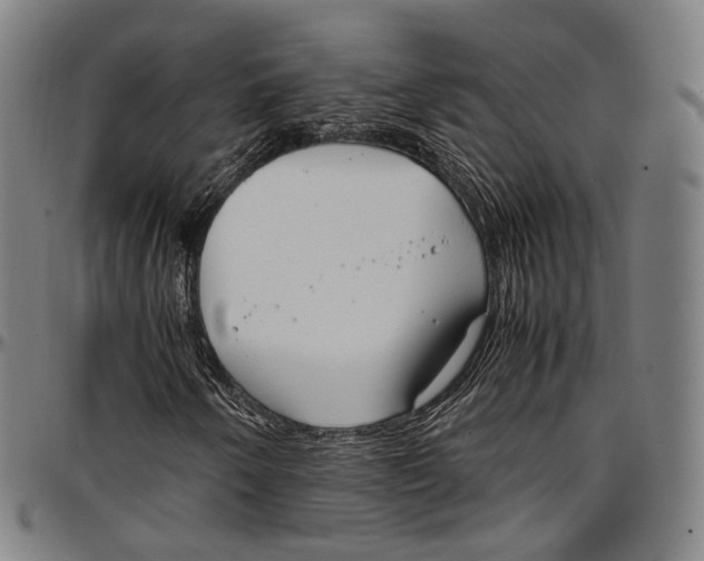 X0000096961250200802291113