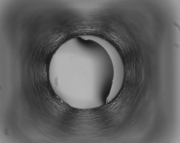 X0000096961252200802291112