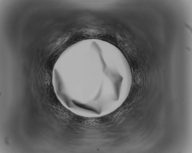 X0000096961253200802291112