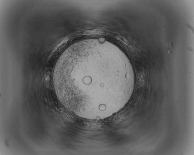 X0000096961254200802291112