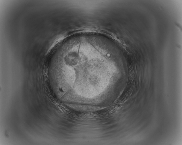 X0000096961255200802291112