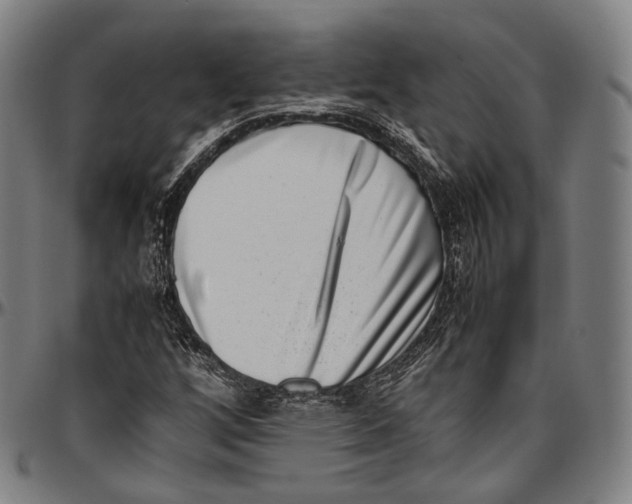 X0000096961256200802291112