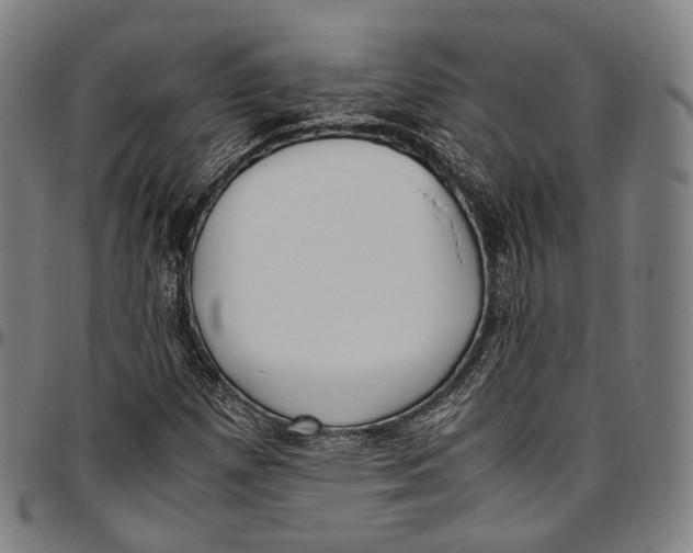 X0000096961257200802291112