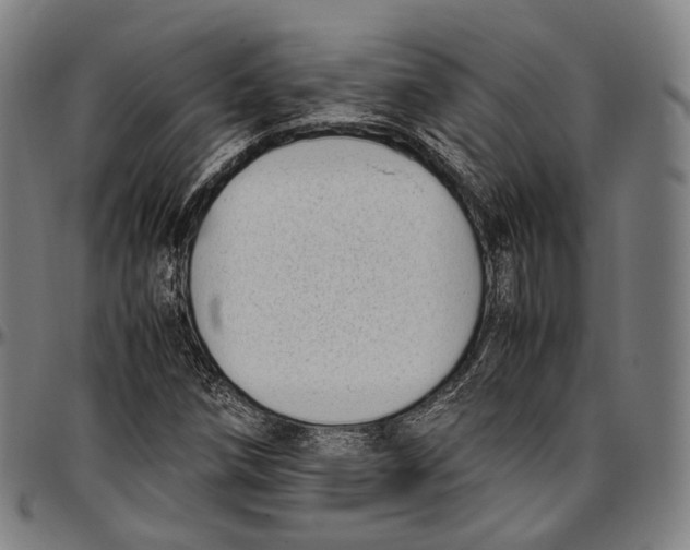 X0000096961258200802291112