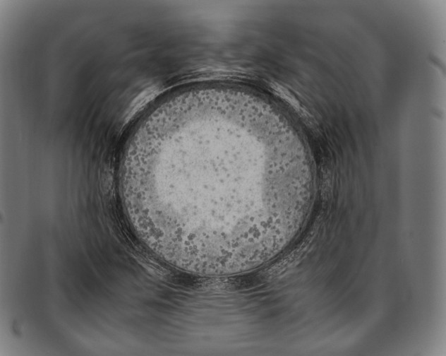 X0000096961259200802291112