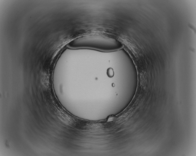 X0000096961260200802291112