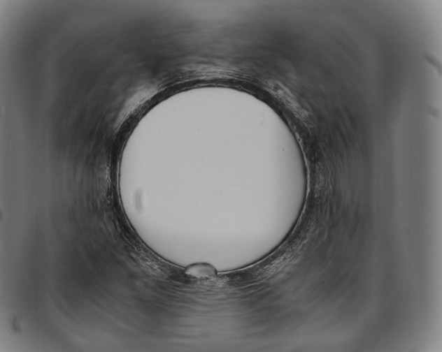 X0000096961261200802291112