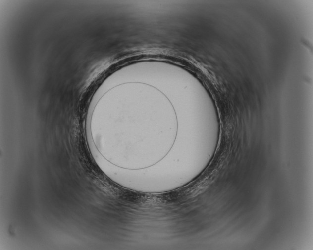 X0000096961263200802291112