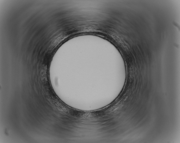 X0000096961265200802291112