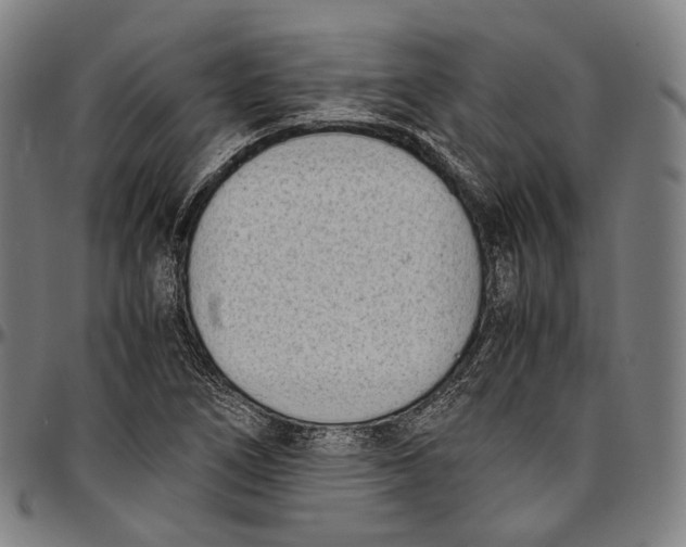 X0000096961266200802291112