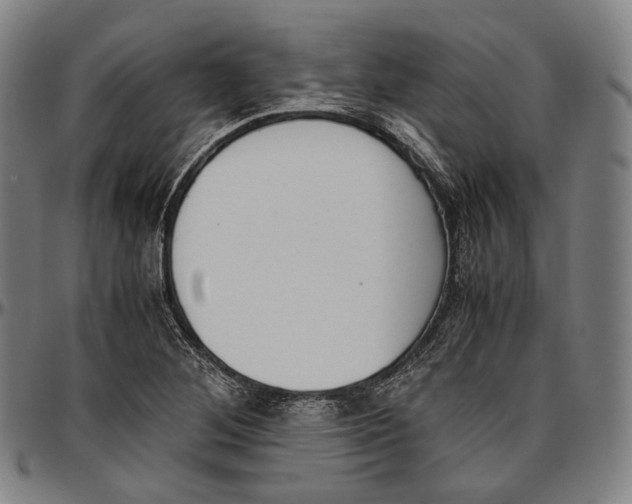 X0000096961268200802291112