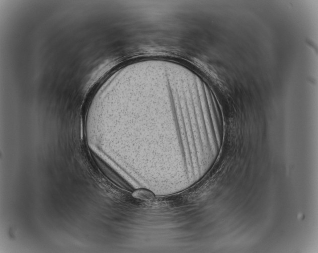 X0000096961269200802291112