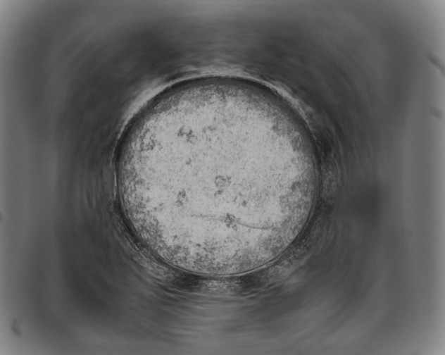 X0000096961271200802291112