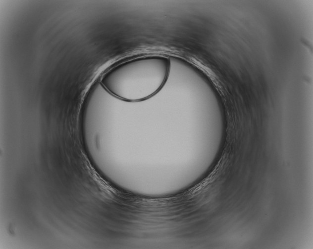 X0000096961272200802291112