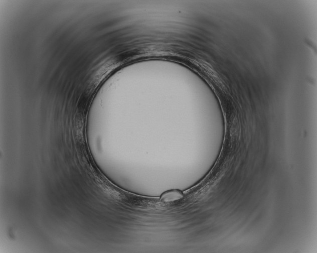 X0000096961273200802291112