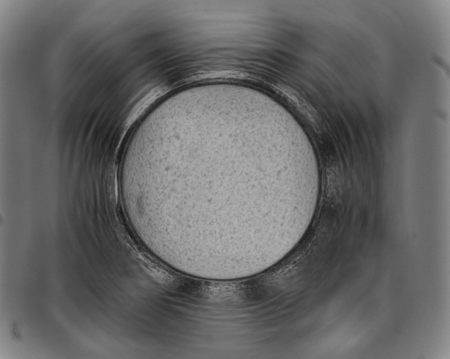 X0000096961274200802291112