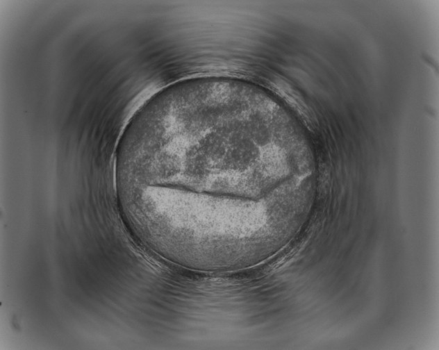 X0000096961275200802291112