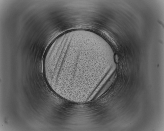 X0000096961276200802291112