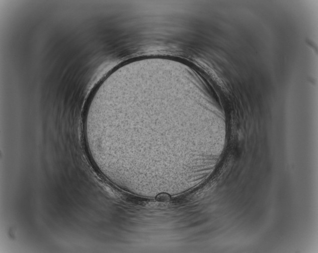 X0000096961277200802291112