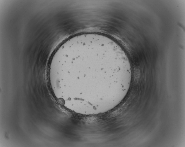 X0000096961278200802291112