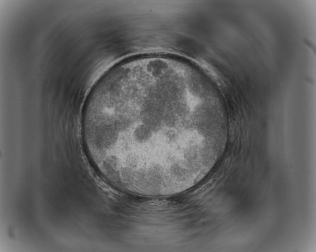 X0000096961279200802291112