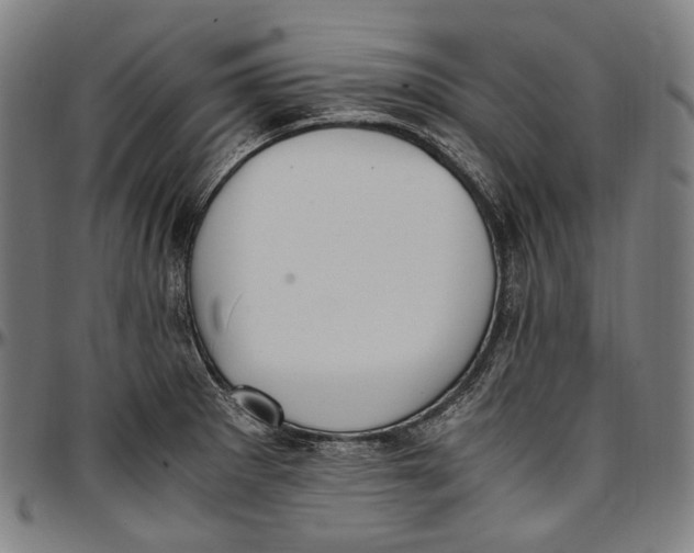 X0000096961281200802291112