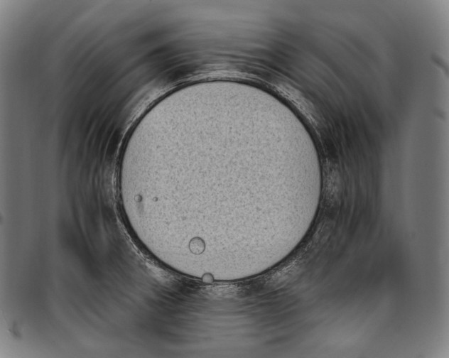 X0000096961282200802291112