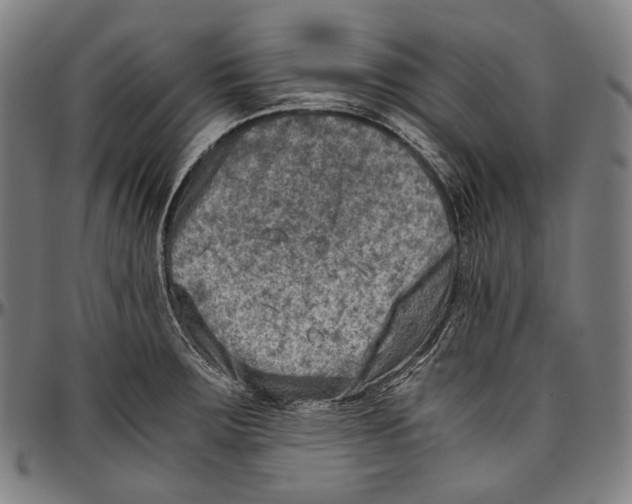 X0000096961283200802291112