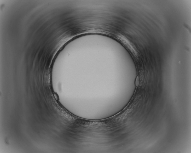 X0000096961284200802291112