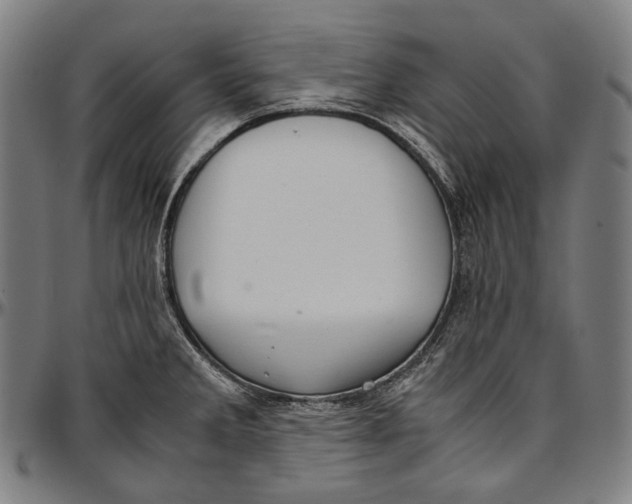 X0000096961285200802291112