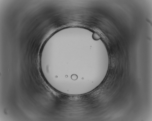 X0000096961286200802291112