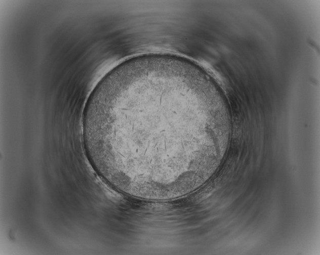 X0000096961287200802291112