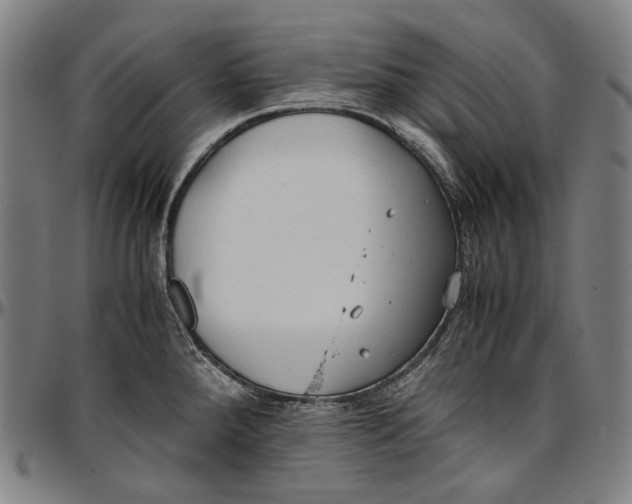 X0000096961288200802291112