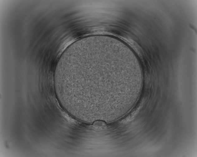 X0000096961289200802291112